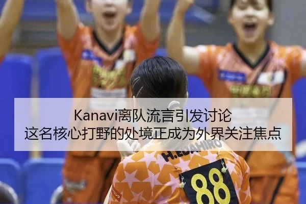 Kanavi离队流言引发讨论 这名核心打野的处境正成为外界关注焦点